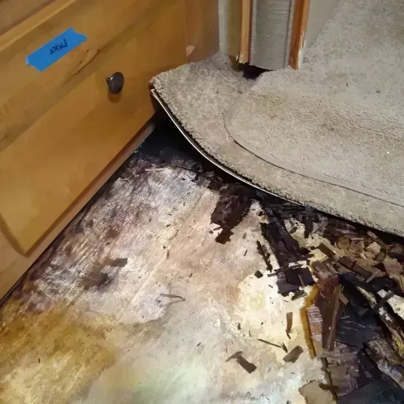 Wood Floor Water Damage in Christmas, FL